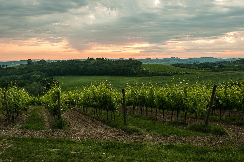 Agriturismo Colleverde Selvatelle Exteriér fotografie