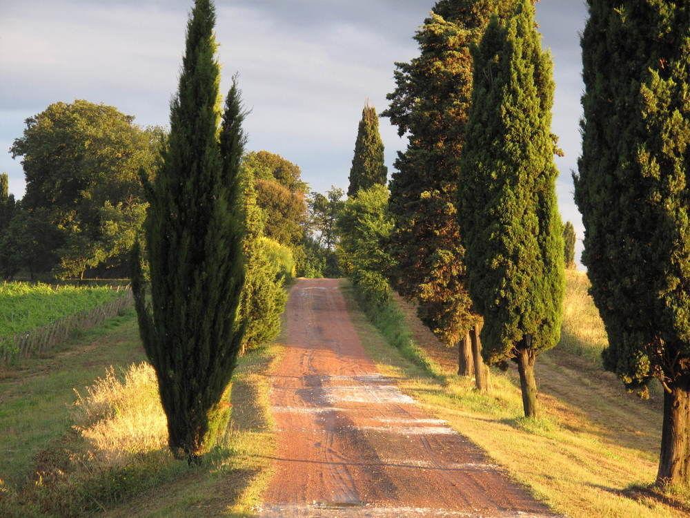 Agriturismo Colleverde Selvatelle Exteriér fotografie