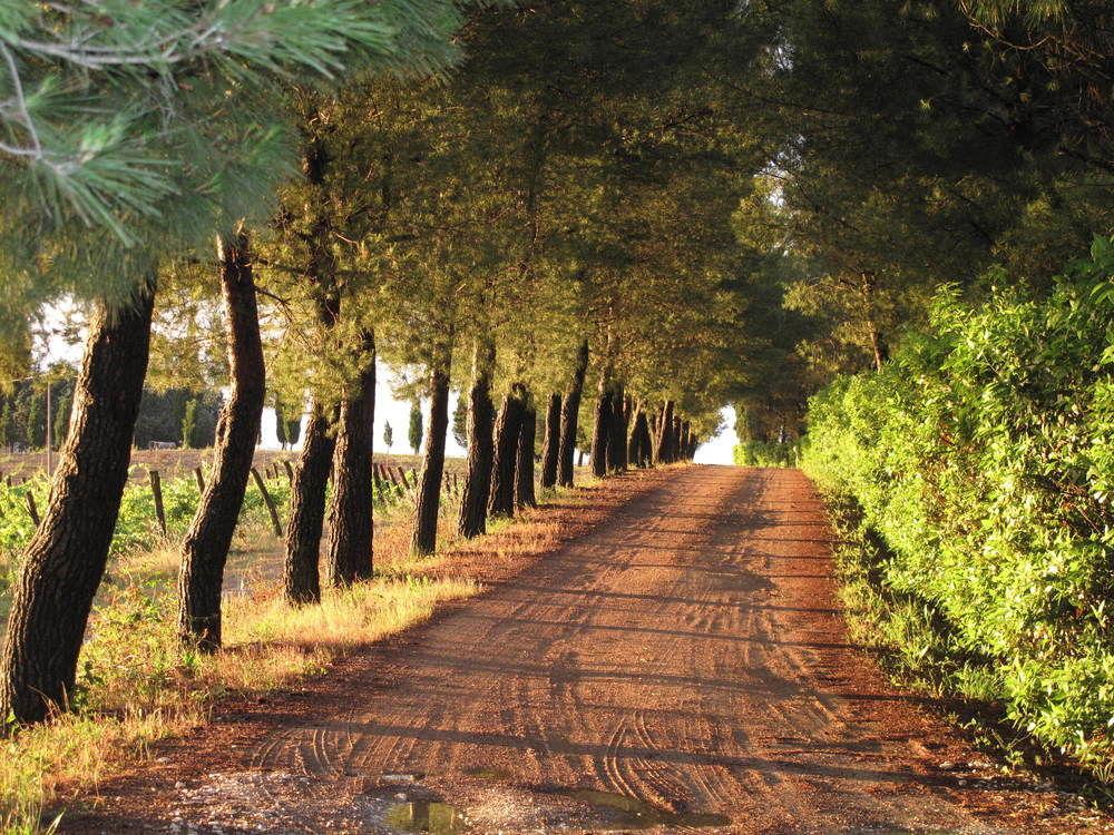 Agriturismo Colleverde Selvatelle Exteriér fotografie