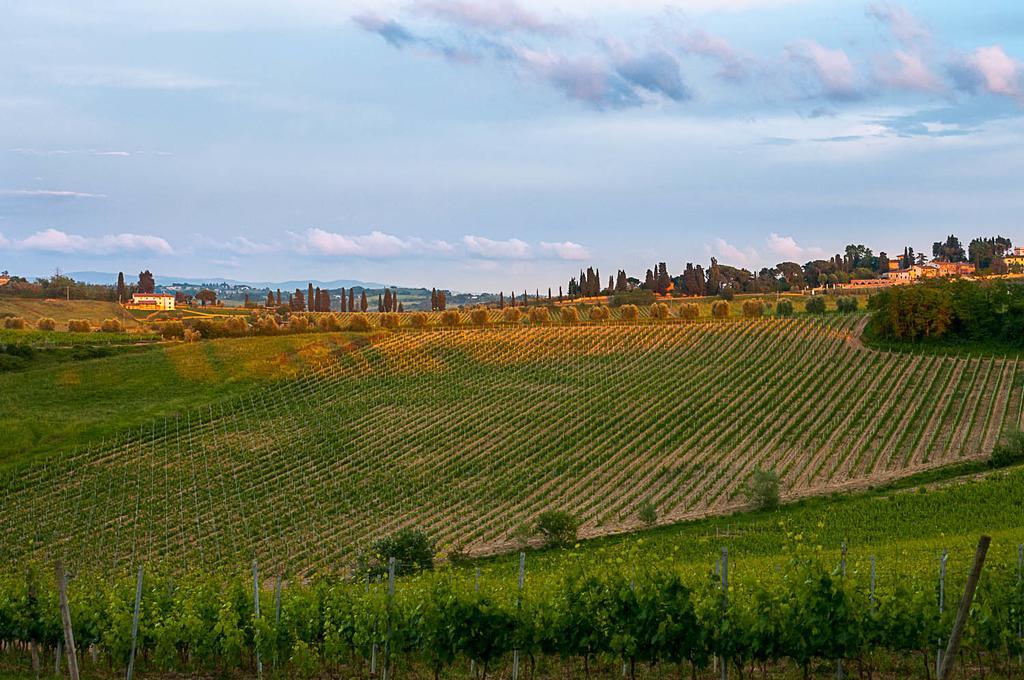 Agriturismo Colleverde Selvatelle Exteriér fotografie